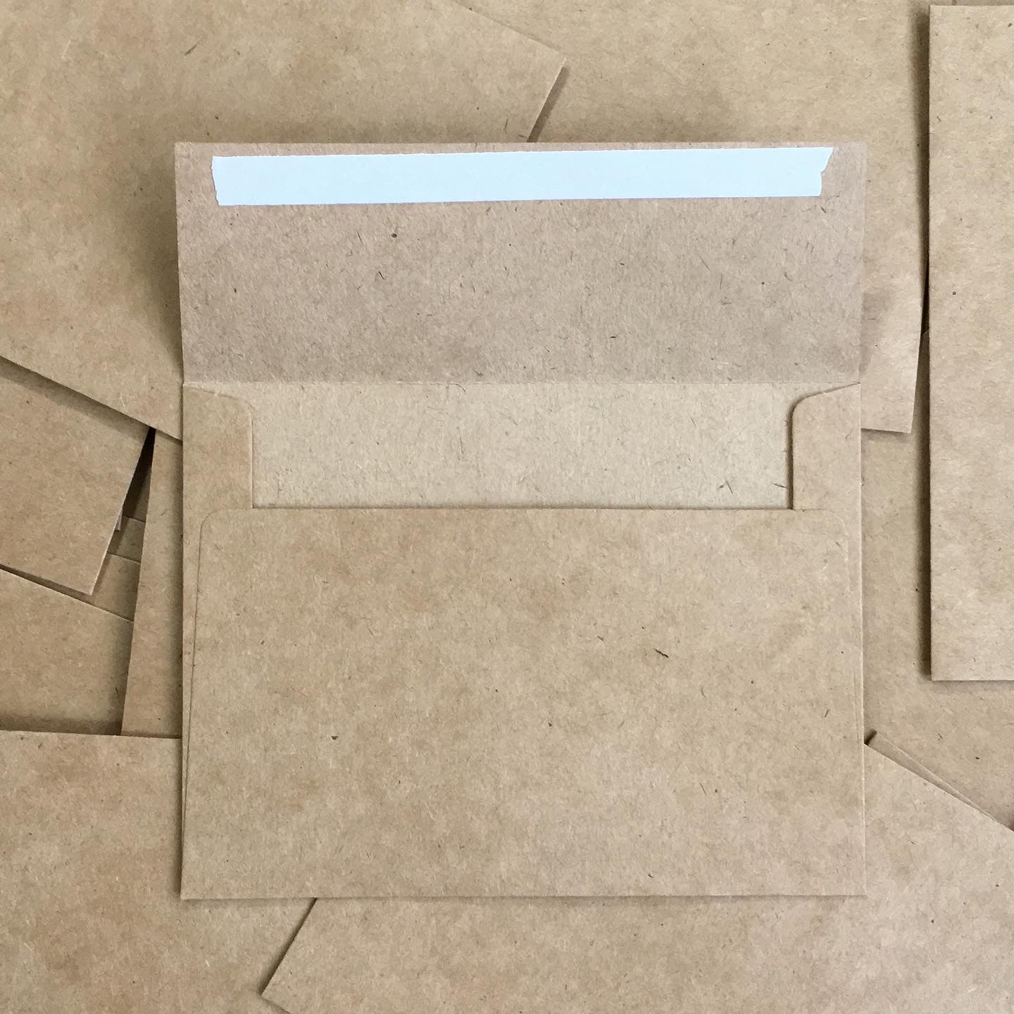 you made the cut (interior text)